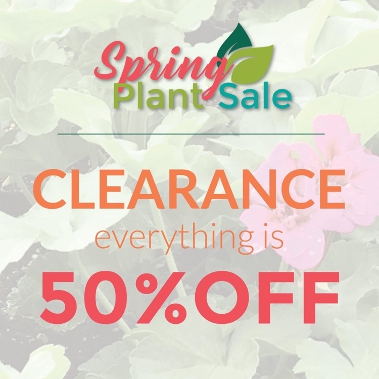 spring plant sale 50% off